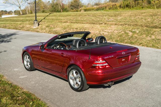 used 2002 Mercedes-Benz SLK-Class car