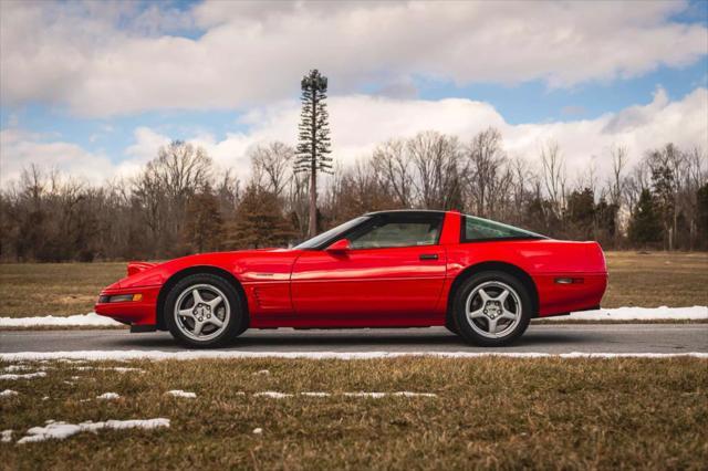 used 1995 Chevrolet Corvette car