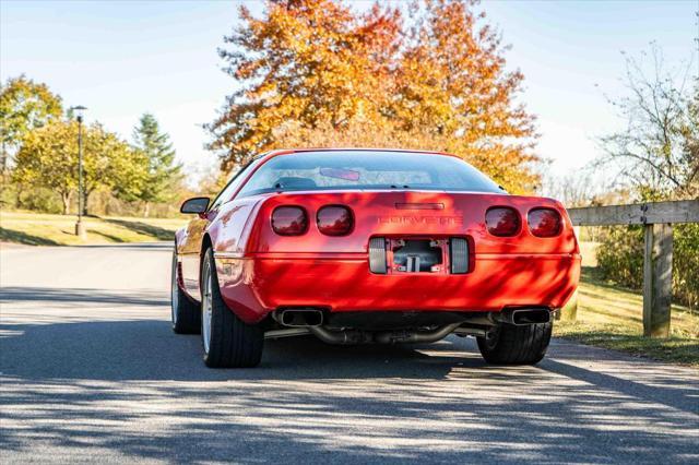 used 1995 Chevrolet Corvette car