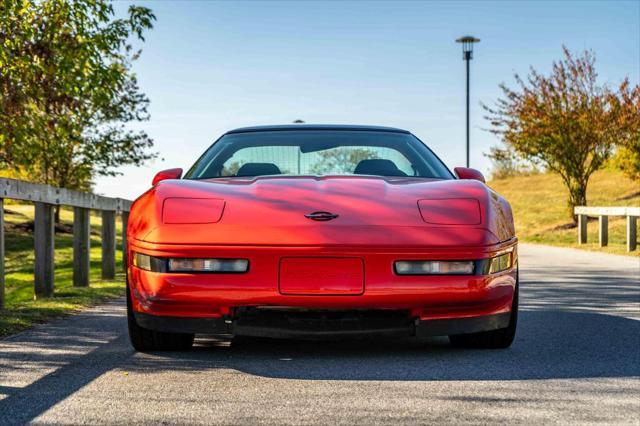 used 1995 Chevrolet Corvette car