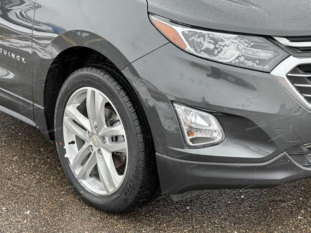 used 2019 Chevrolet Equinox car, priced at $19,199