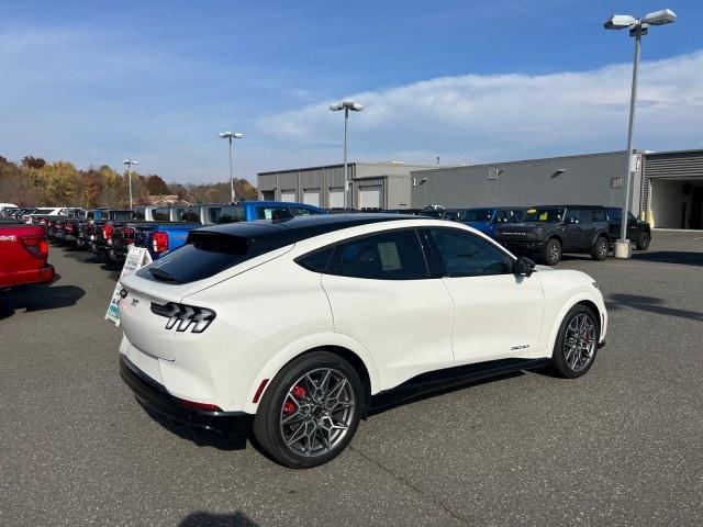 new 2024 Ford Mustang Mach-E car, priced at $65,270