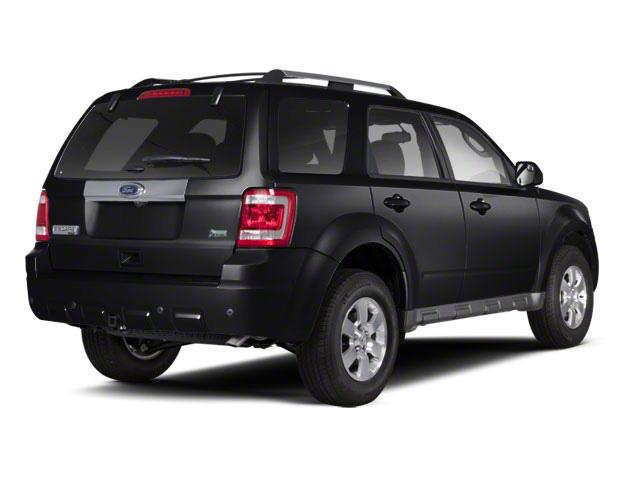 used 2010 Ford Escape car