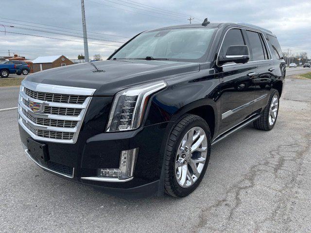used 2017 Cadillac Escalade car, priced at $23,995