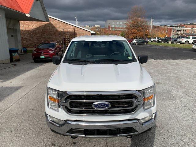 used 2023 Ford F-150 car, priced at $40,500