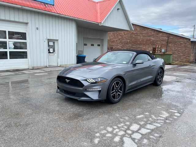 used 2022 Ford Mustang car, priced at $24,999