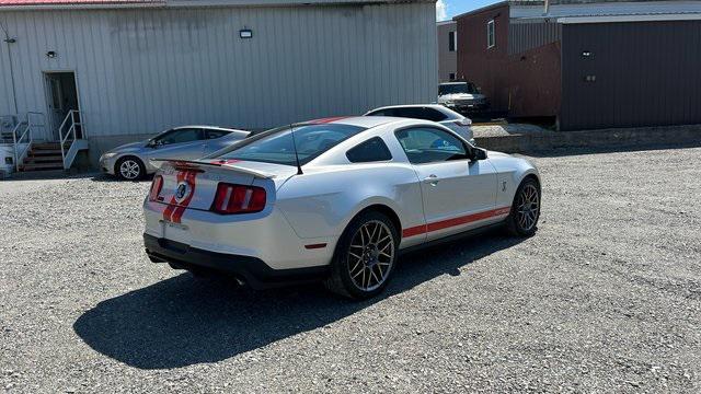 used 2011 Ford Shelby GT500 car, priced at $44,000