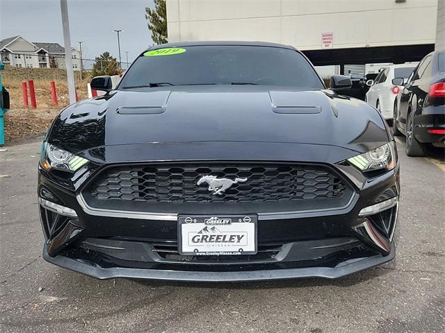 used 2019 Ford Mustang car, priced at $22,699