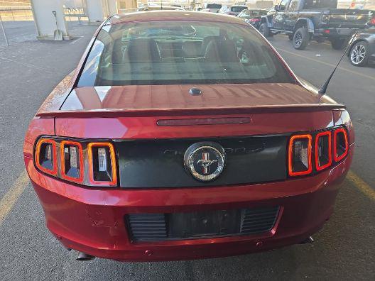 used 2014 Ford Mustang car, priced at $12,995