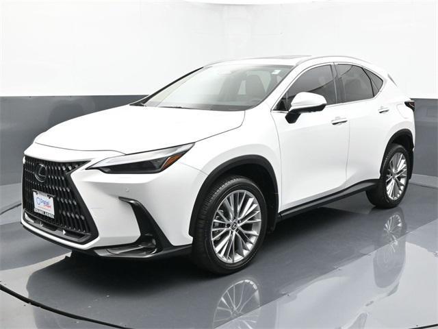 used 2024 Lexus NX 350 car, priced at $49,479