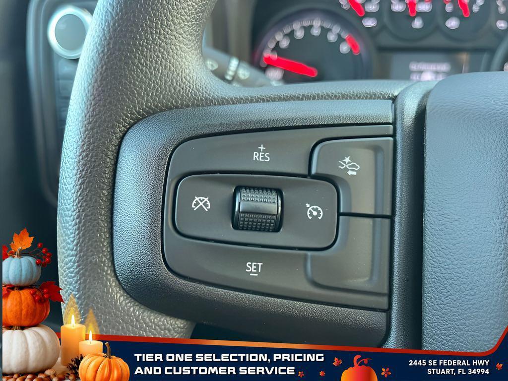 new 2025 GMC Sierra 1500 car, priced at $30,204