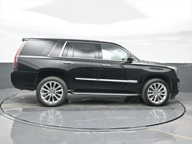 used 2019 Cadillac Escalade car, priced at $35,604