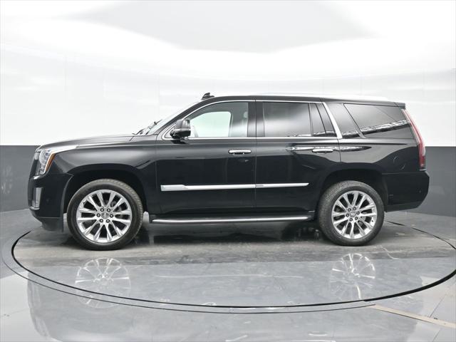 used 2019 Cadillac Escalade car, priced at $35,604