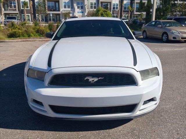 used 2014 Ford Mustang car, priced at $7,999