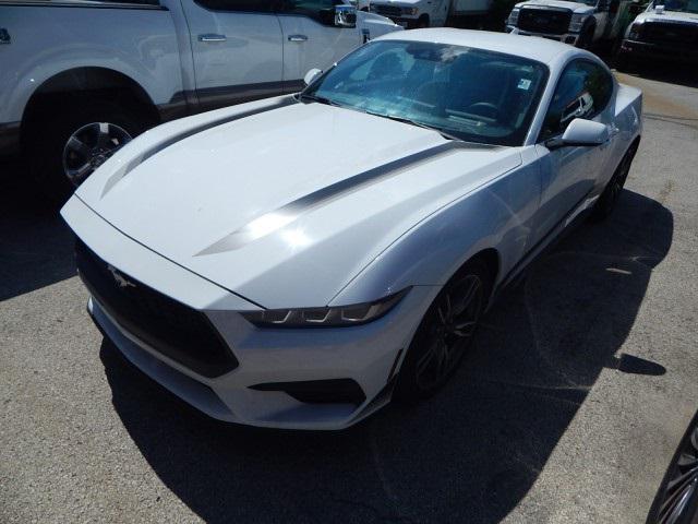 used 2024 Ford Mustang car