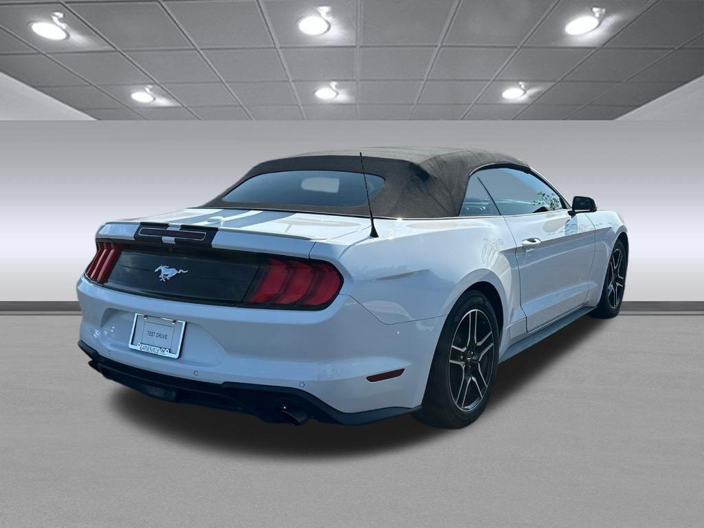 used 2019 Ford Mustang car, priced at $26,291