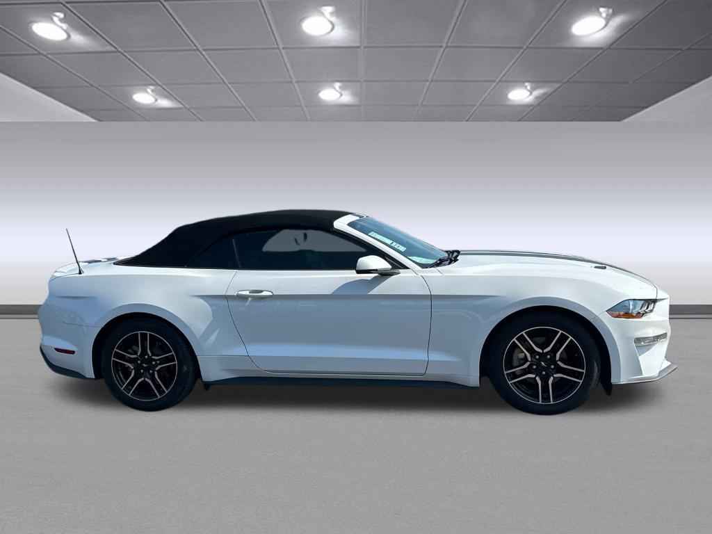 used 2019 Ford Mustang car, priced at $26,291