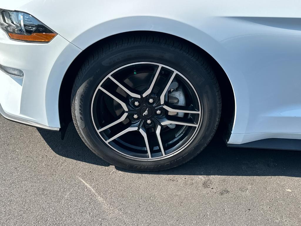 used 2019 Ford Mustang car, priced at $26,291