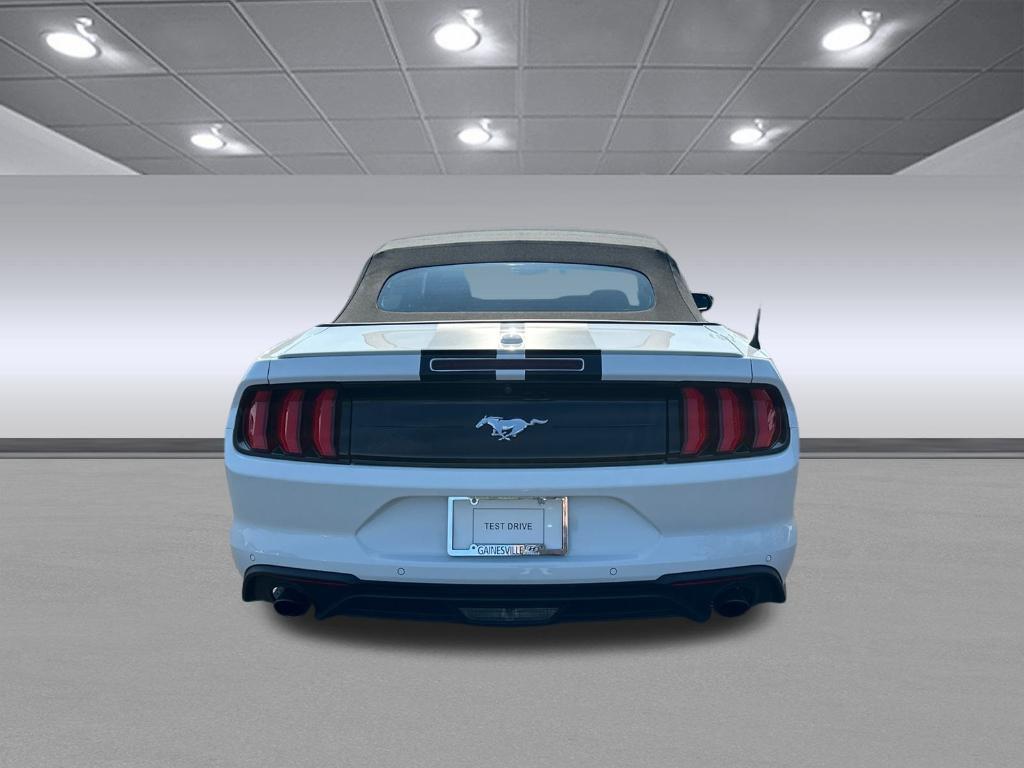 used 2019 Ford Mustang car, priced at $26,291