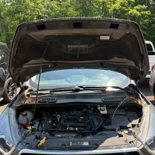 used 2019 Ford Escape car, priced at $15,469