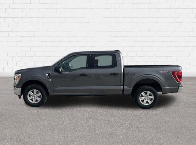 used 2021 Ford F-150 car, priced at $37,760