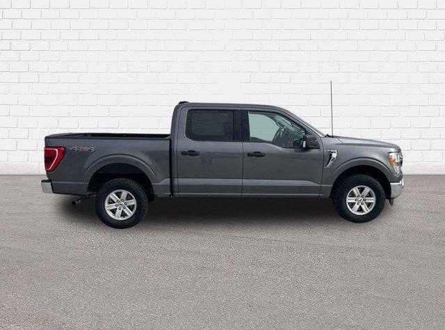 used 2021 Ford F-150 car, priced at $37,760