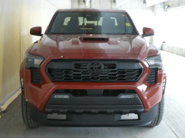 new 2025 Toyota Tacoma car, priced at $50,243