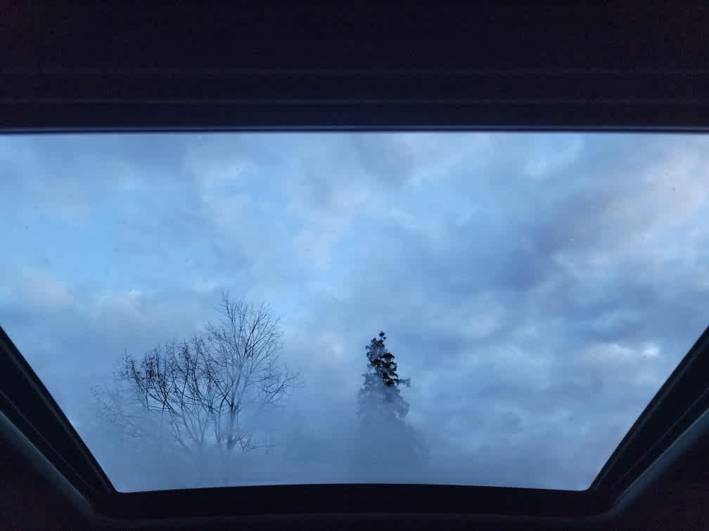 used 2023 Subaru Forester car, priced at $28,540