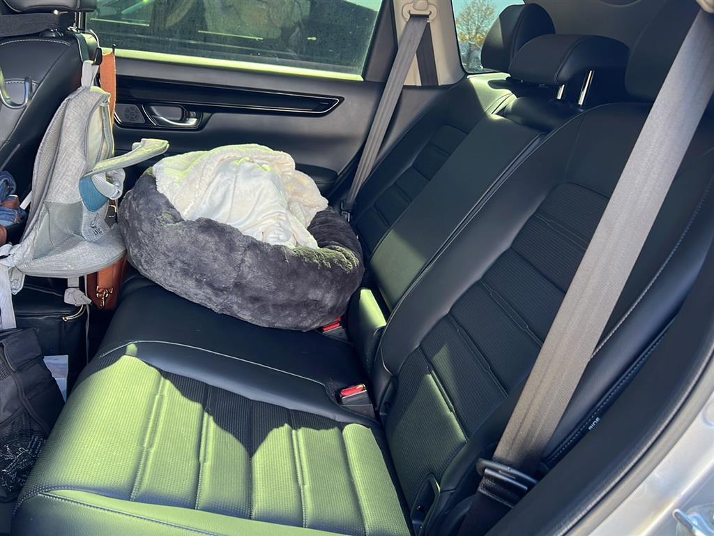 used 2023 Honda CR-V car, priced at $33,299